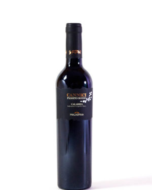 Cannici bottiglia da 0,50