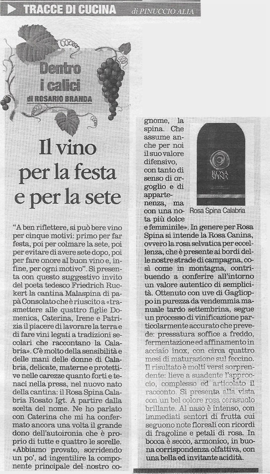 Articolo sul quotidiano del sud